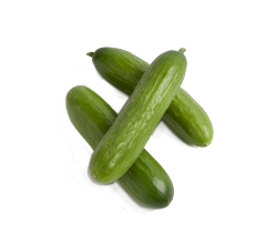 mini-cucumber-sm