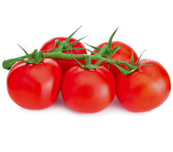 tomatoe-vine